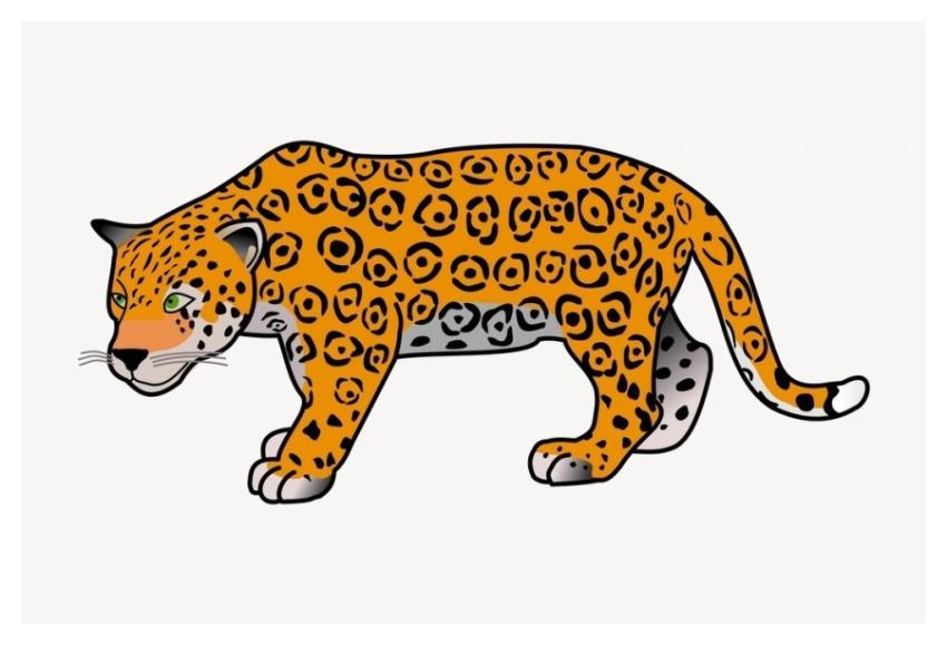 Jaguar tiger clipart, animal illustration