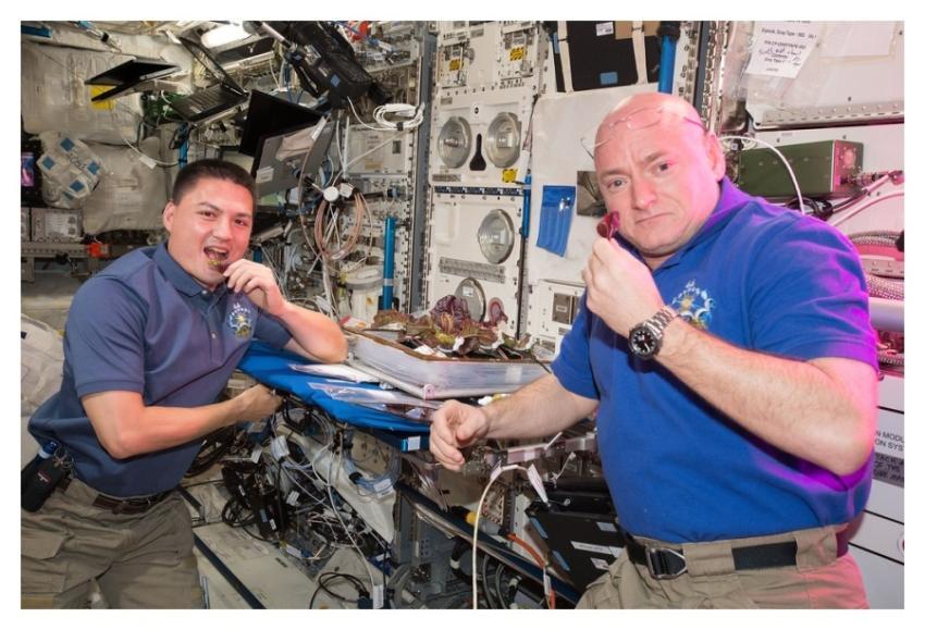 First taste of food grown and harvested on the Int