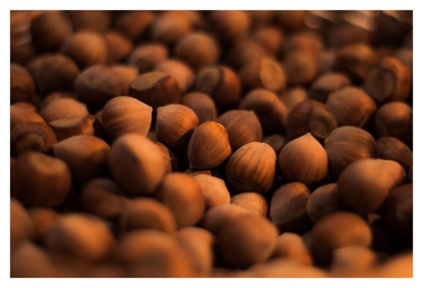 Hazelnuts Food