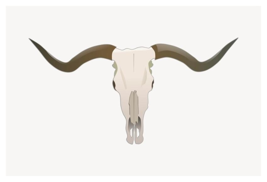 Longhorn skull sticker, animal hunting