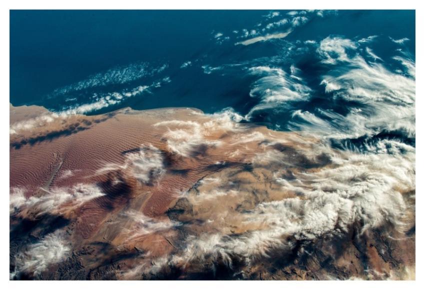 The Creativity of Mother Nature