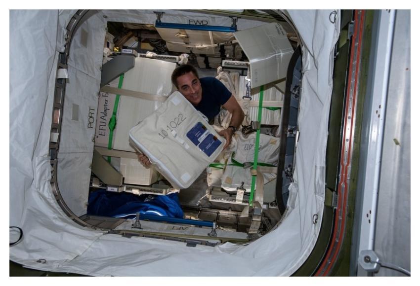 Expedition 63 Commander Chris Cassidy unloads fres