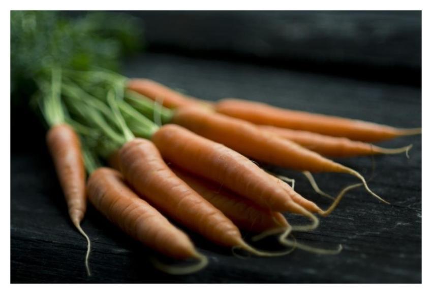 Food Carrots
