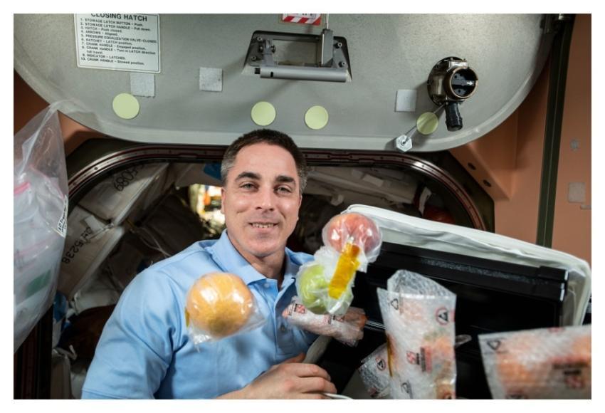 Expedition 63 Commander Chris Cassidy unpacks fres