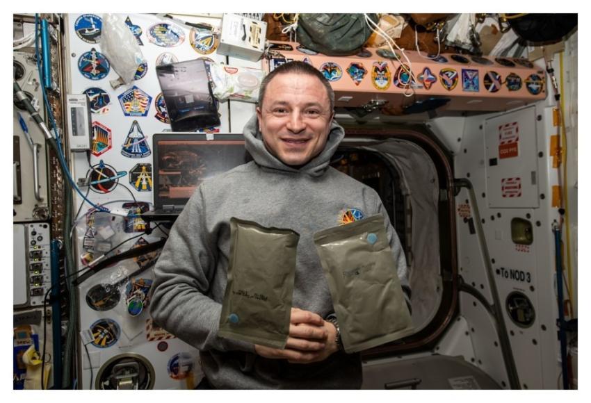 Expedition 61 Flight Engineer Andrew Morgan poses
