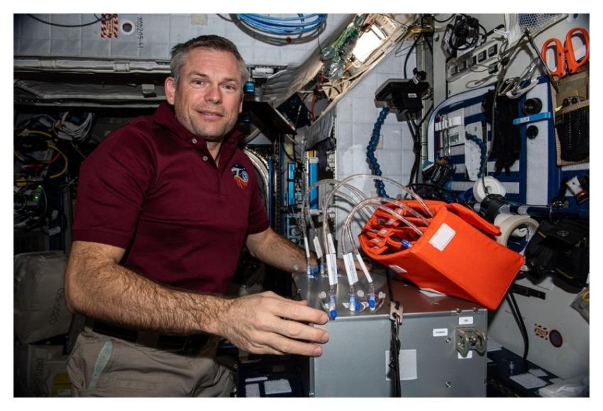 Astronaut Andreas Mogensen works on the Aquamembra