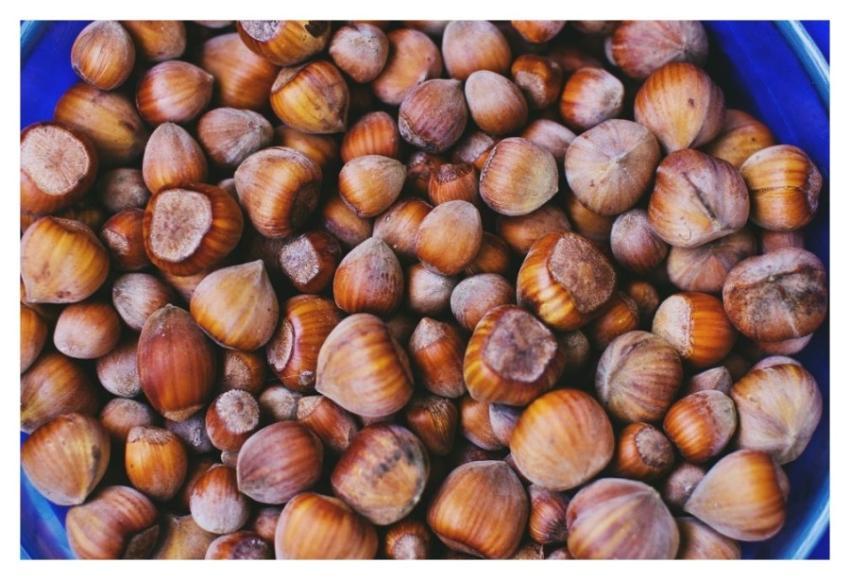 Hazelnuts Food