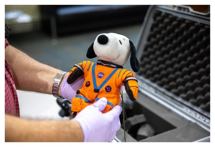 A Well-traveled Beagle