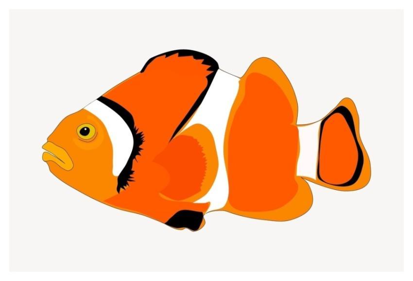 Clownfish sticker, cartoon animal illustration