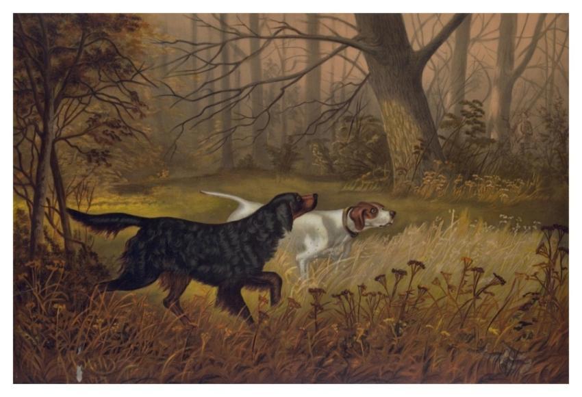 Sport November, Hoover, Joseph, 1830-1913