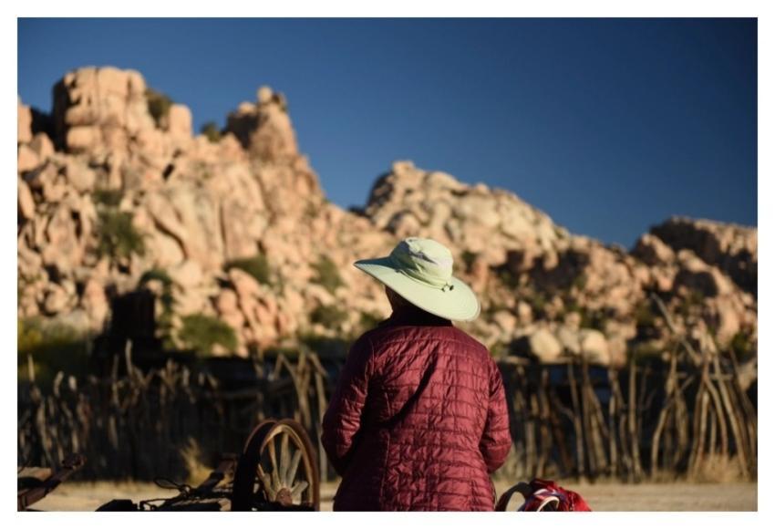 Nature travel Joshua Tree