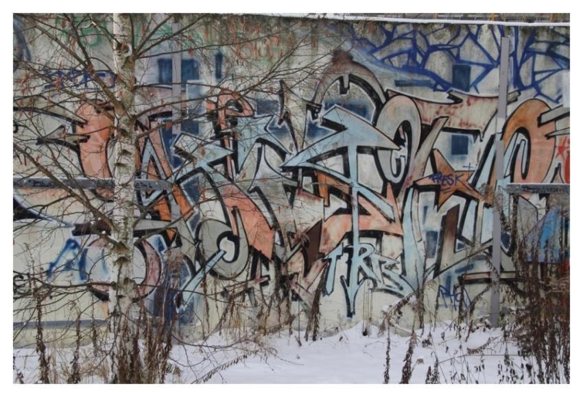 Script graffiti wall, street art