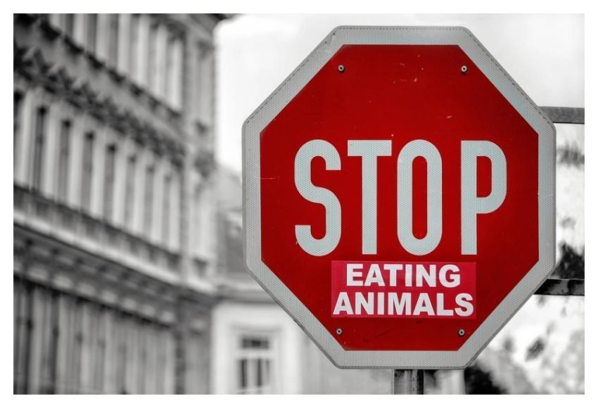 Free stop eating animals sign