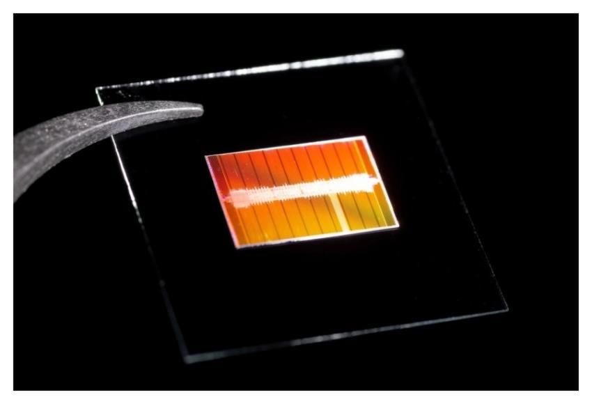 Computer chip, technology image