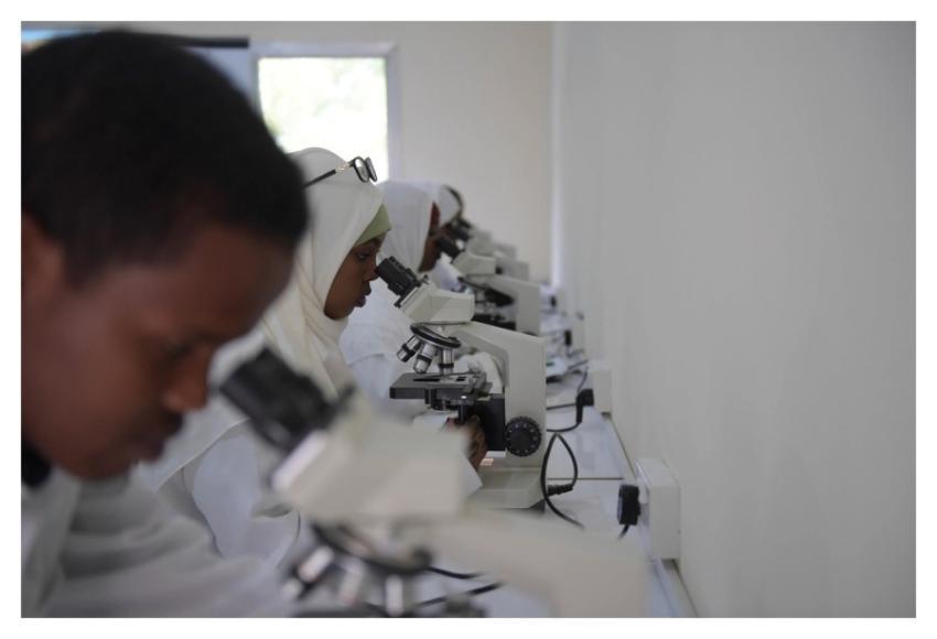 Mogadishu University students Faculty Health