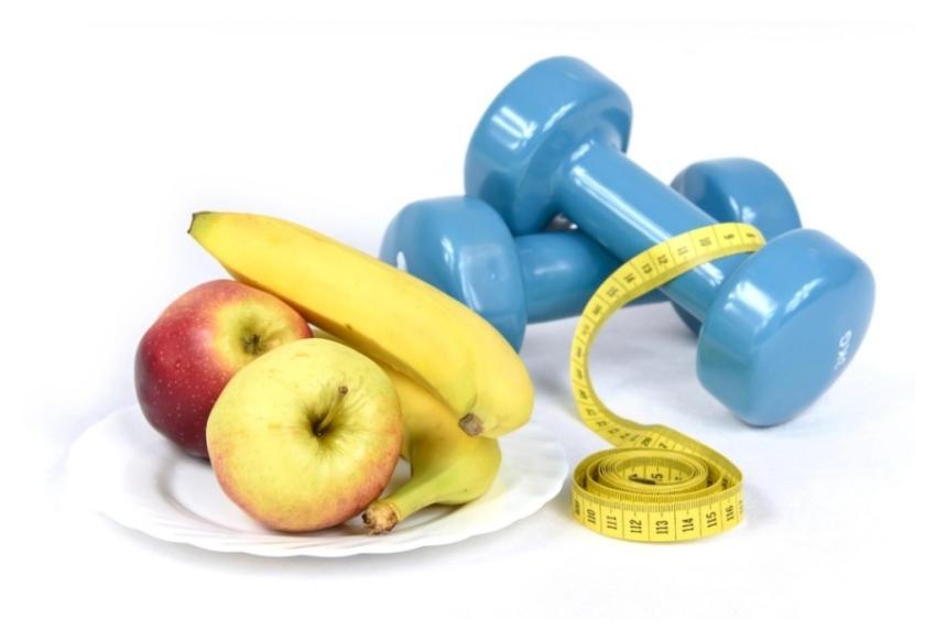 Free healthy lifestyle