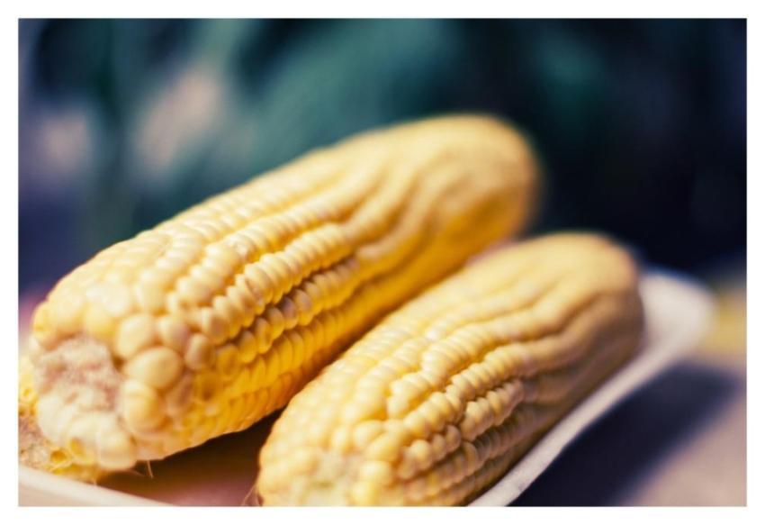 Cornonthecob Food