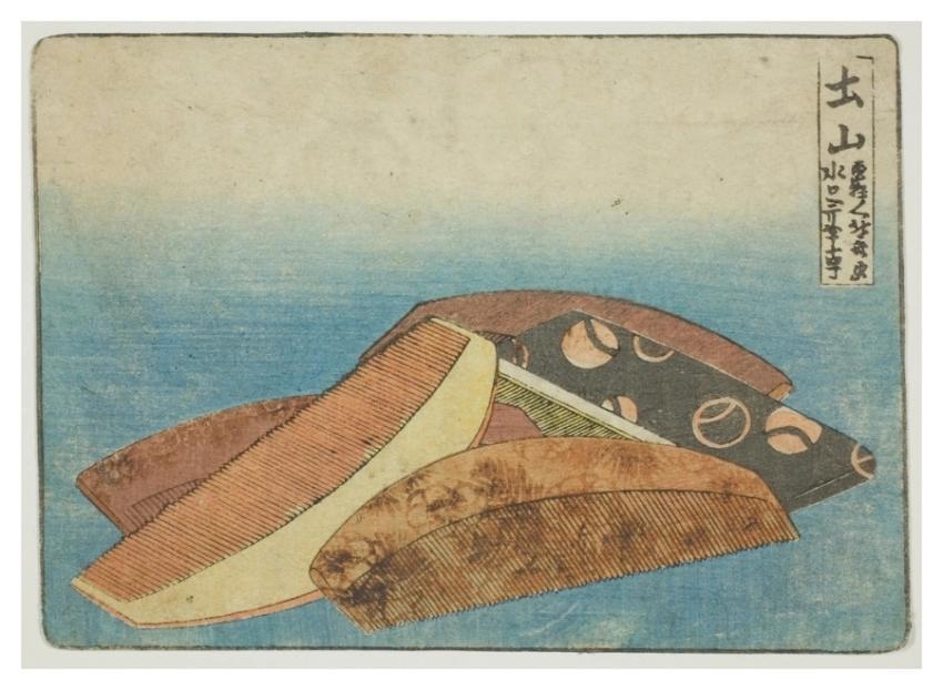 Hokusai's comb. Original Art Institute