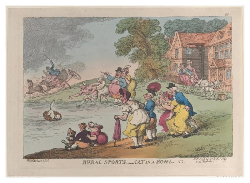 Rural Sports: Cat Bowl