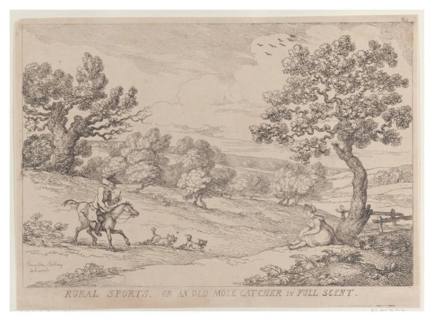 Rural Sports, Old Mole Catcher