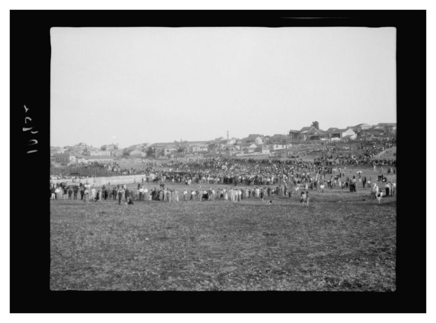 Maccabee football game sports grounds
