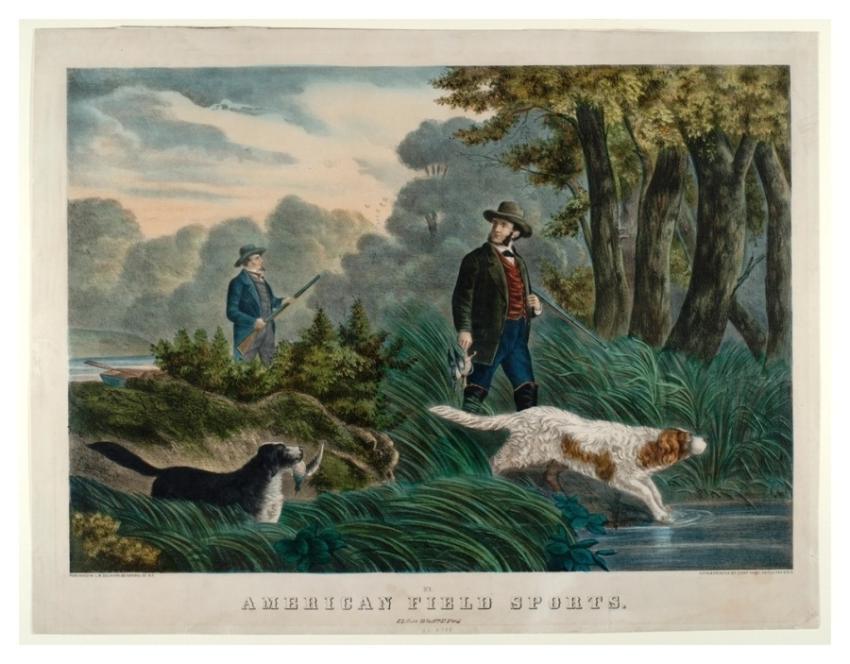 American Field Sports, Smithsonian National