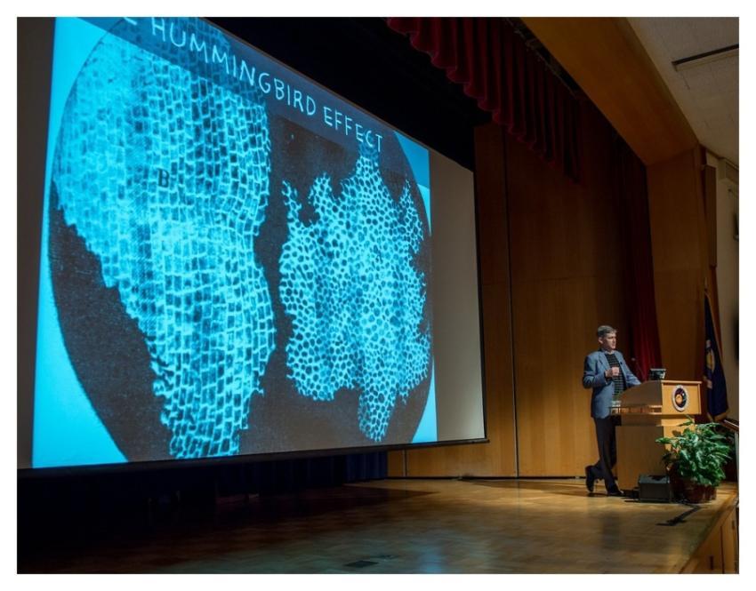 Author Steven Johnson, How We Got to Now, Innovati