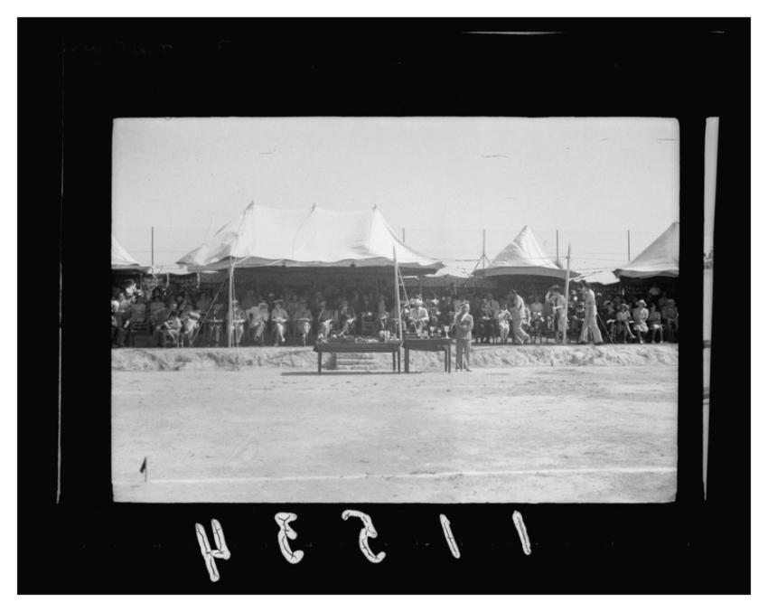 Third annual sports meeting government