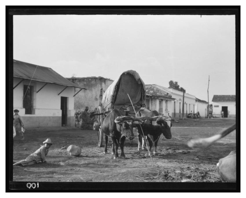 Travel views Cuba Guatemala Arnold