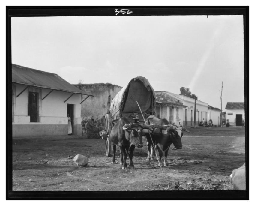 Travel views Cuba Guatemala Arnold