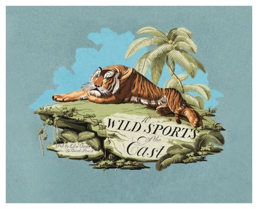 Oriental field sports (1807) print