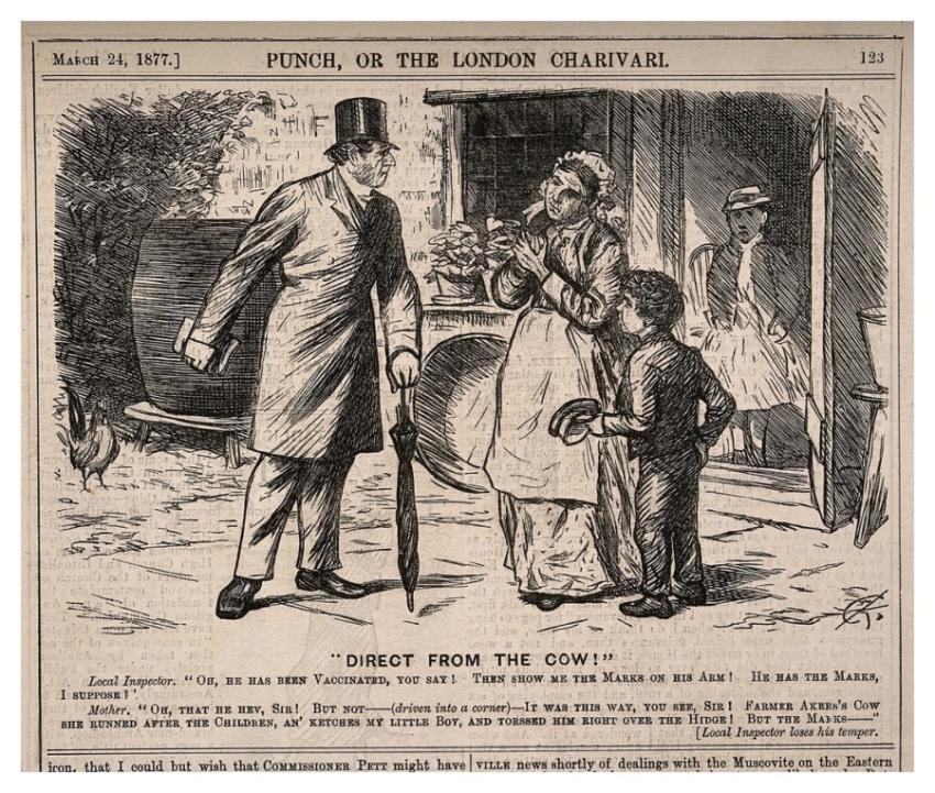 health inspector dismayed discover that