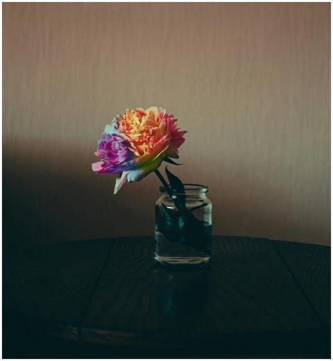 Colorful peony in a glass jar on wooden table, sho