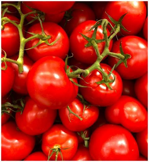 Vibrant close-up of fresh cherry tomatoes, showcas
