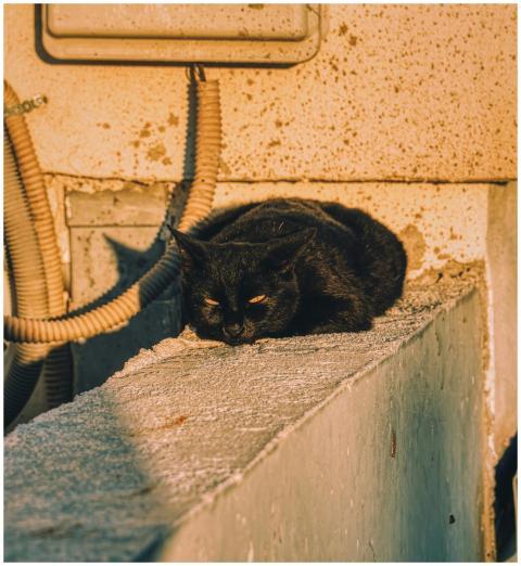 Free stock photo of exploregreece, greektown, trav