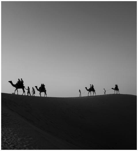Silhouetted camel riders traverse sand dunes in a