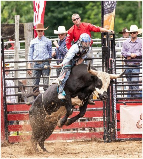 Thrilling bull riding action at a rodeo with cowbo