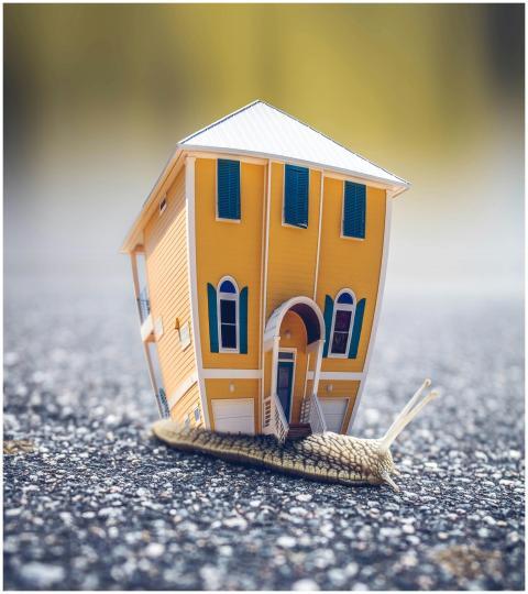 A surreal image of a house riding on a snail, blen