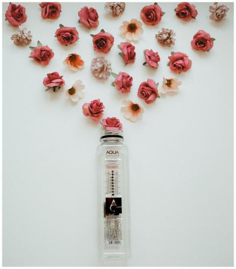 Stylish floral art with roses and bottle, perfect
