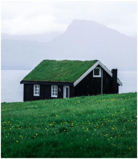 Charming black wooden house with a grass roof in t