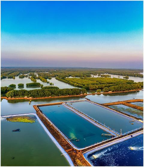 Aerial shot of lush fish farms against a scenic co