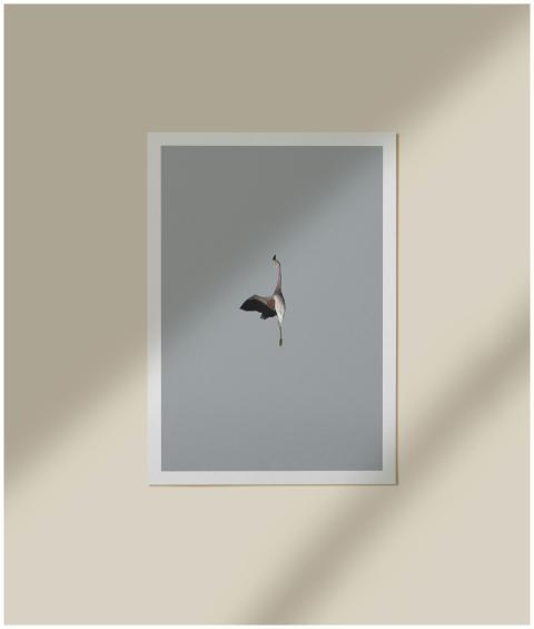Minimalist artwork of a flamingo in flight, framed