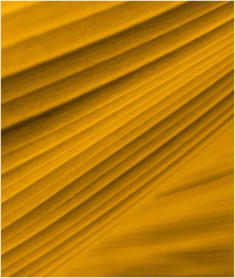 A vibrant abstract pattern featuring golden yellow