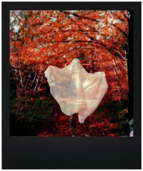 Spooky ghostly figure captured in a vibrant autumn
