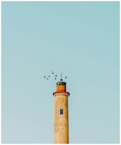 A lighthouse with a clear blue sky and birds flyin