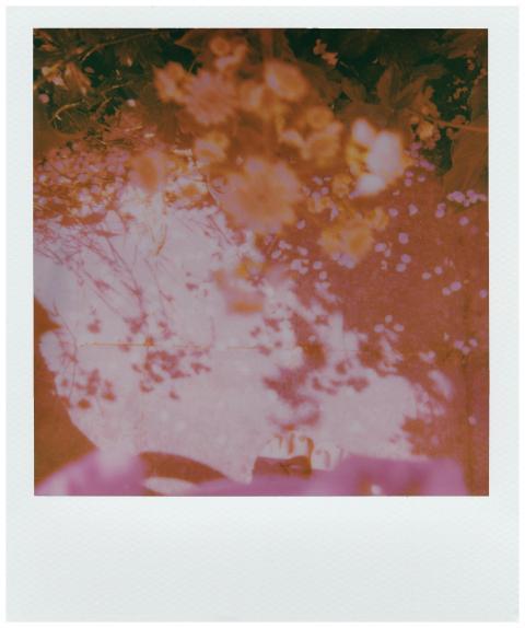 Vintage polaroid image capturing a dreamy blend of