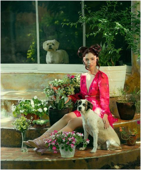 A woman in a red dress poses with dogs and potted