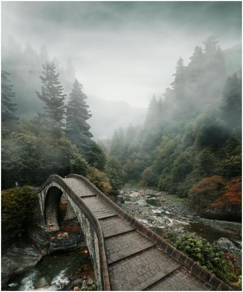 Scenic stone footbridge crossing a misty forest st