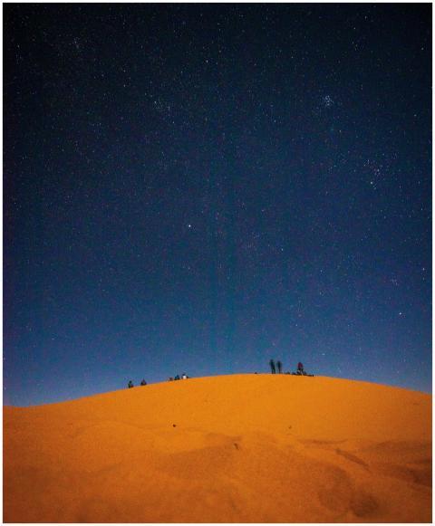 Silhouetted desert scene under a vast starry sky i
