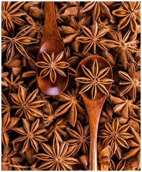 Aesthetic flat lay of star anise and wooden spoons